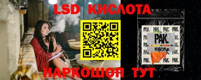 прущие грибы Гулькевичи