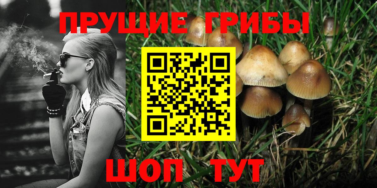 Псилоцибиновые грибы прущие грибы Кострома