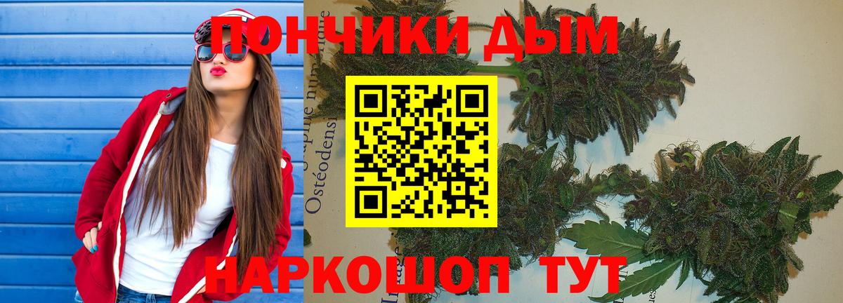 Бошки Шишки семена  МАРИХУАНА VHQ  Вход с VPN  Кострома 
